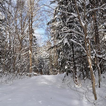 La Taniere De L'Ours Ξενοδοχείο Saint-Donat-de-Montcalm Εξωτερικό φωτογραφία