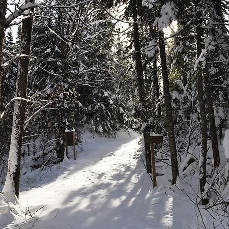 La Taniere De L'Ours Ξενοδοχείο Saint-Donat-de-Montcalm Εξωτερικό φωτογραφία