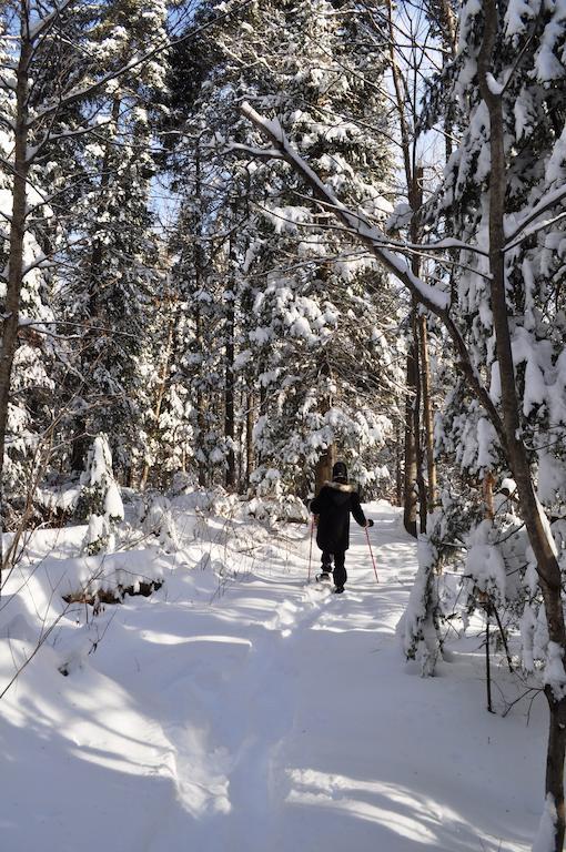 La Taniere De L'Ours Ξενοδοχείο Saint-Donat-de-Montcalm Εξωτερικό φωτογραφία