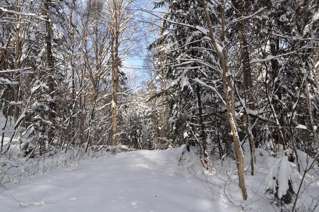 La Taniere De L'Ours Ξενοδοχείο Saint-Donat-de-Montcalm Εξωτερικό φωτογραφία