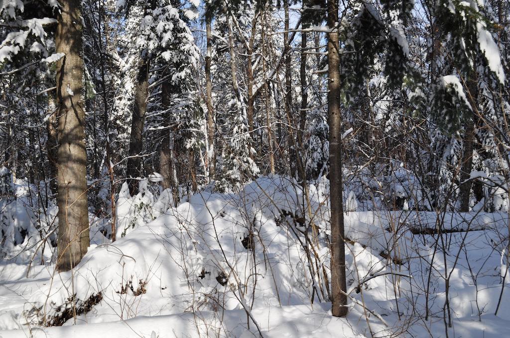 La Taniere De L'Ours Ξενοδοχείο Saint-Donat-de-Montcalm Εξωτερικό φωτογραφία