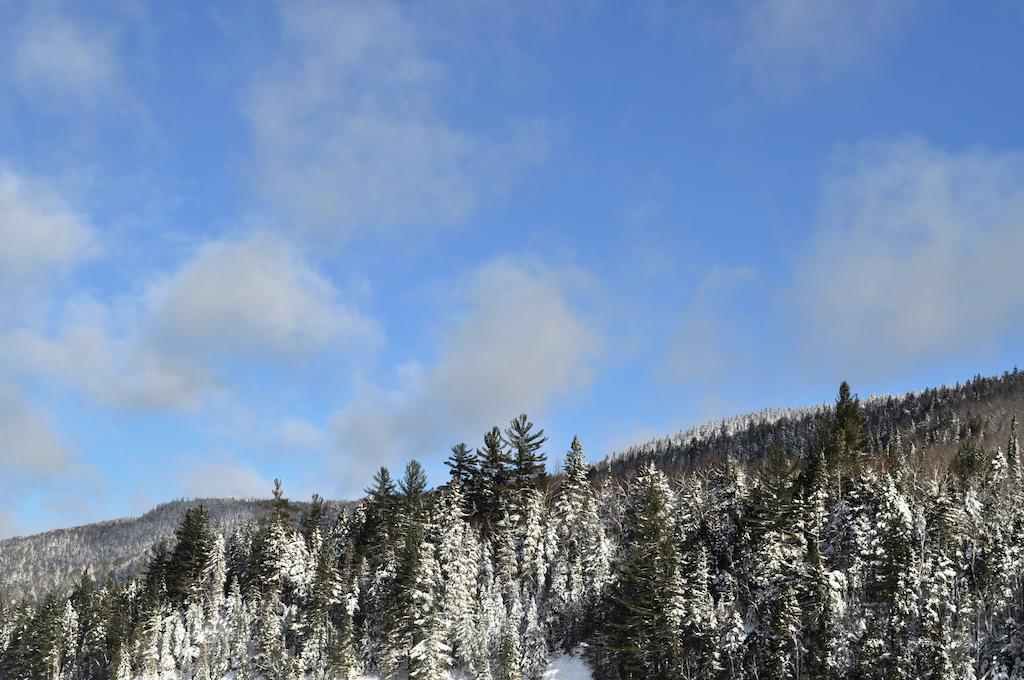 La Taniere De L'Ours Ξενοδοχείο Saint-Donat-de-Montcalm Εξωτερικό φωτογραφία