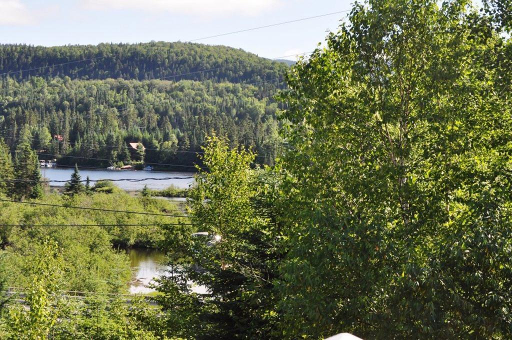 La Taniere De L'Ours Ξενοδοχείο Saint-Donat-de-Montcalm Εξωτερικό φωτογραφία