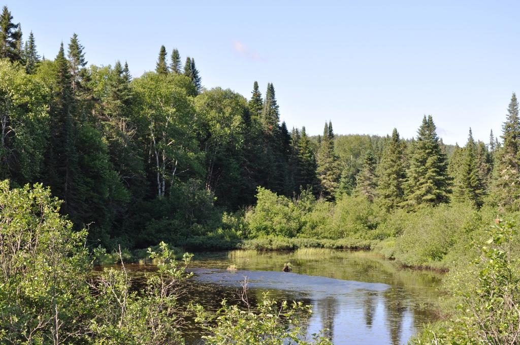 La Taniere De L'Ours Ξενοδοχείο Saint-Donat-de-Montcalm Εξωτερικό φωτογραφία